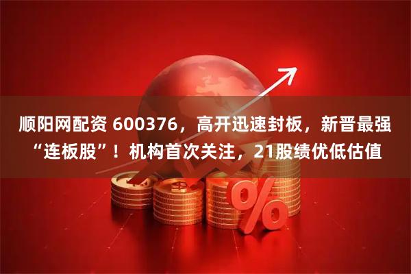 顺阳网配资 600376，高开迅速封板，新晋最强“连板股”！机构首次关注，21股绩优低估值