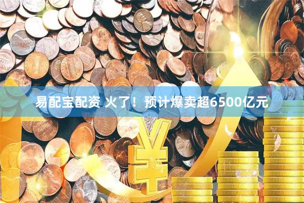易配宝配资 火了！预计爆卖超6500亿元