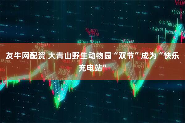 友牛网配资 大青山野生动物园“双节”成为“快乐充电站”