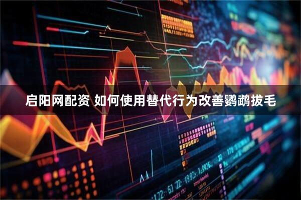 启阳网配资 如何使用替代行为改善鹦鹉拔毛