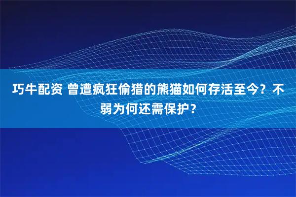 巧牛配资 曾遭疯狂偷猎的熊猫如何存活至今？不弱为何还需保护？